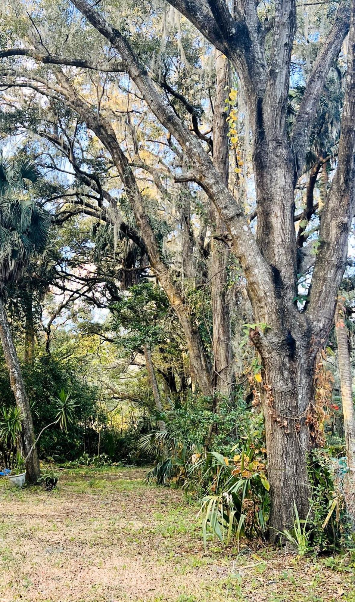 Country Welcome Micanopy Экстерьер фото